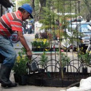 Project gardener José Benigno Obando keeps the gardens watered and maintained.