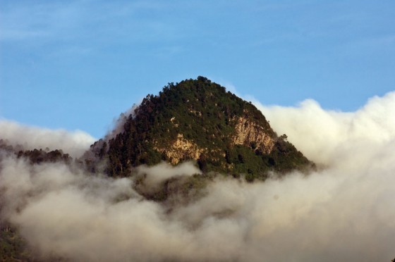 A photographic quest to the upper cloud forest on Atitlán Volcano’s southern flank in search of the rare and elusive