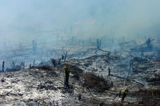 The tradition of slash-and-burn farming cannot continue